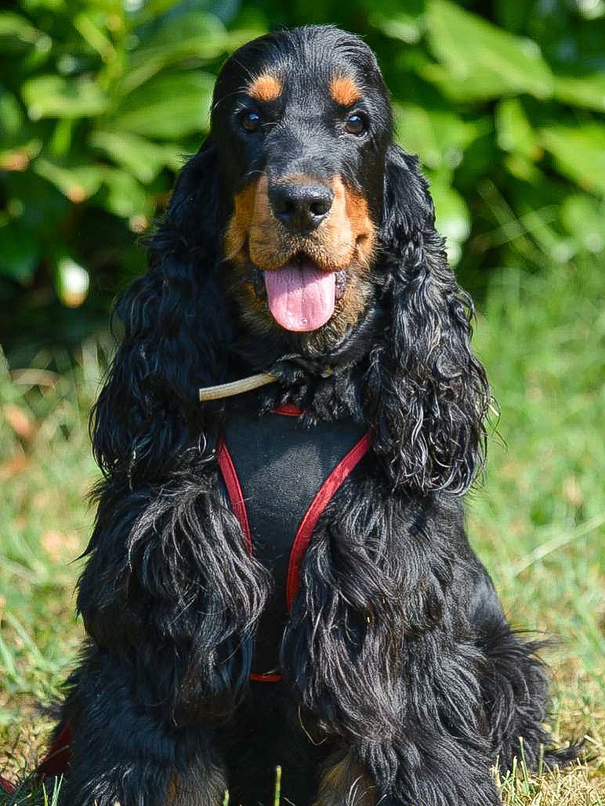 Instagram photo 1.jpg