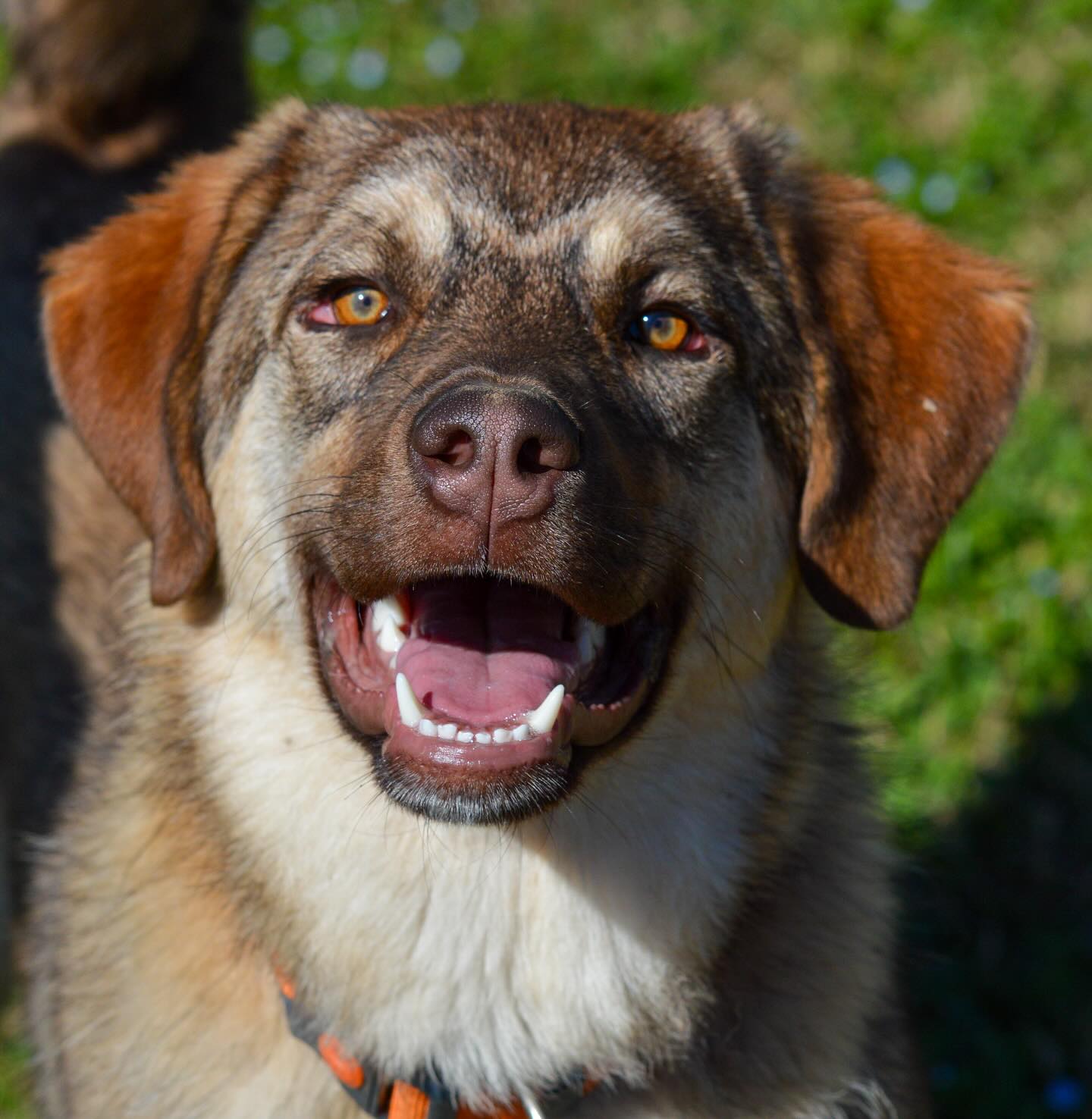 Instagram photo 467161682_18014905883642961_8266517229309315054_n.jpg