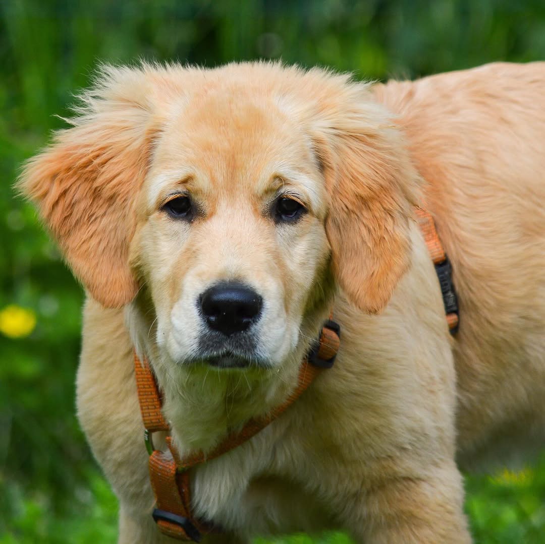 Instagram photo 467256096_18014909141642961_1798886130683963146_n.jpg