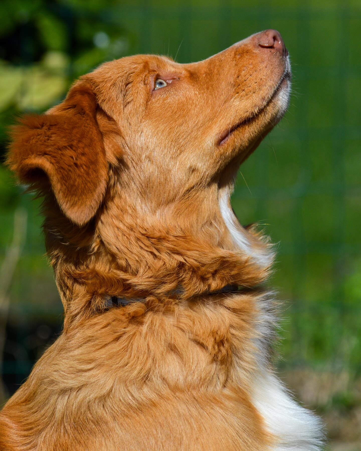 Instagram photo 467461116_18014905871642961_5380475171515999679_n.jpg