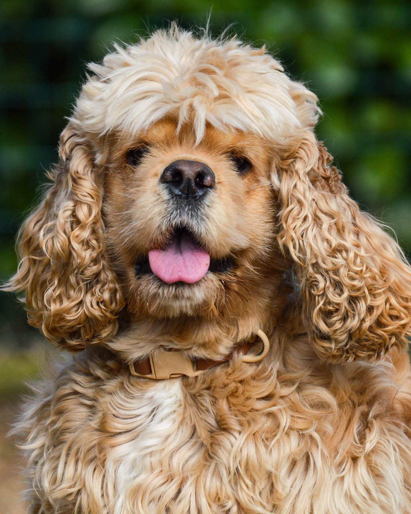 Instagram photo 467492964_18014908754642961_3309258437783408866_n.jpg