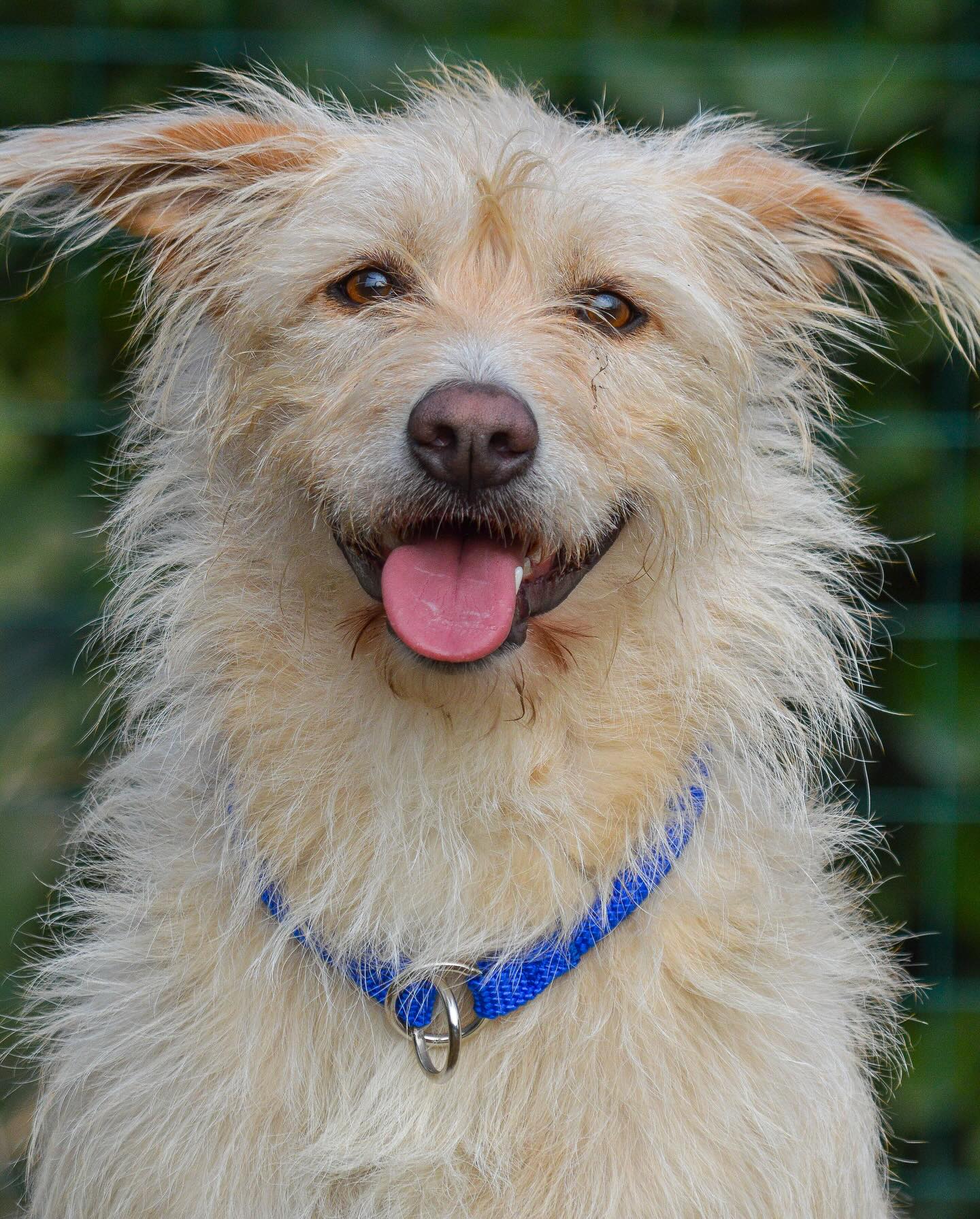 Instagram photo 467747566_18014905817642961_6642772747294673324_n.jpg