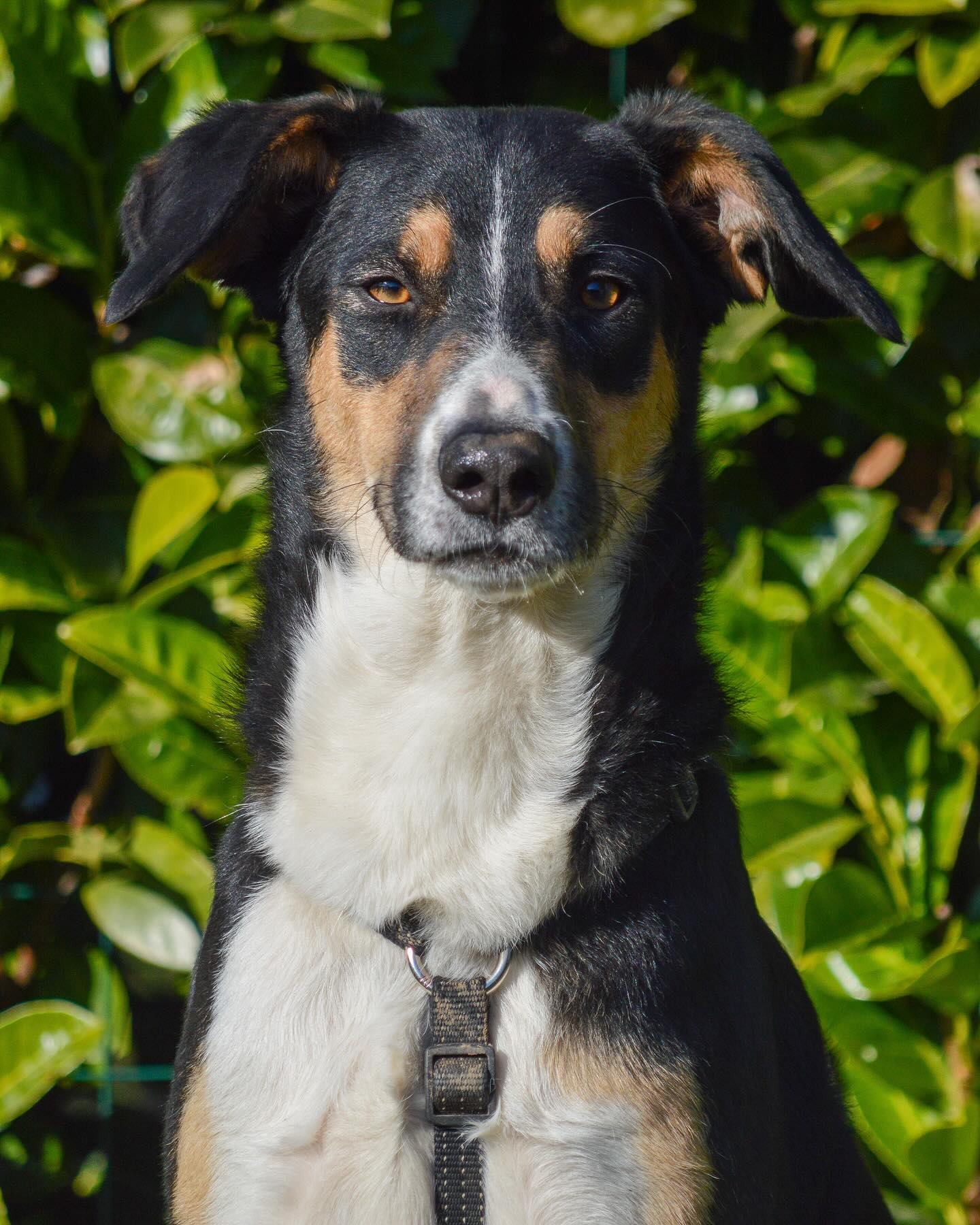 Instagram photo 469739953_18017807138642961_4413963437700222596_n.jpg