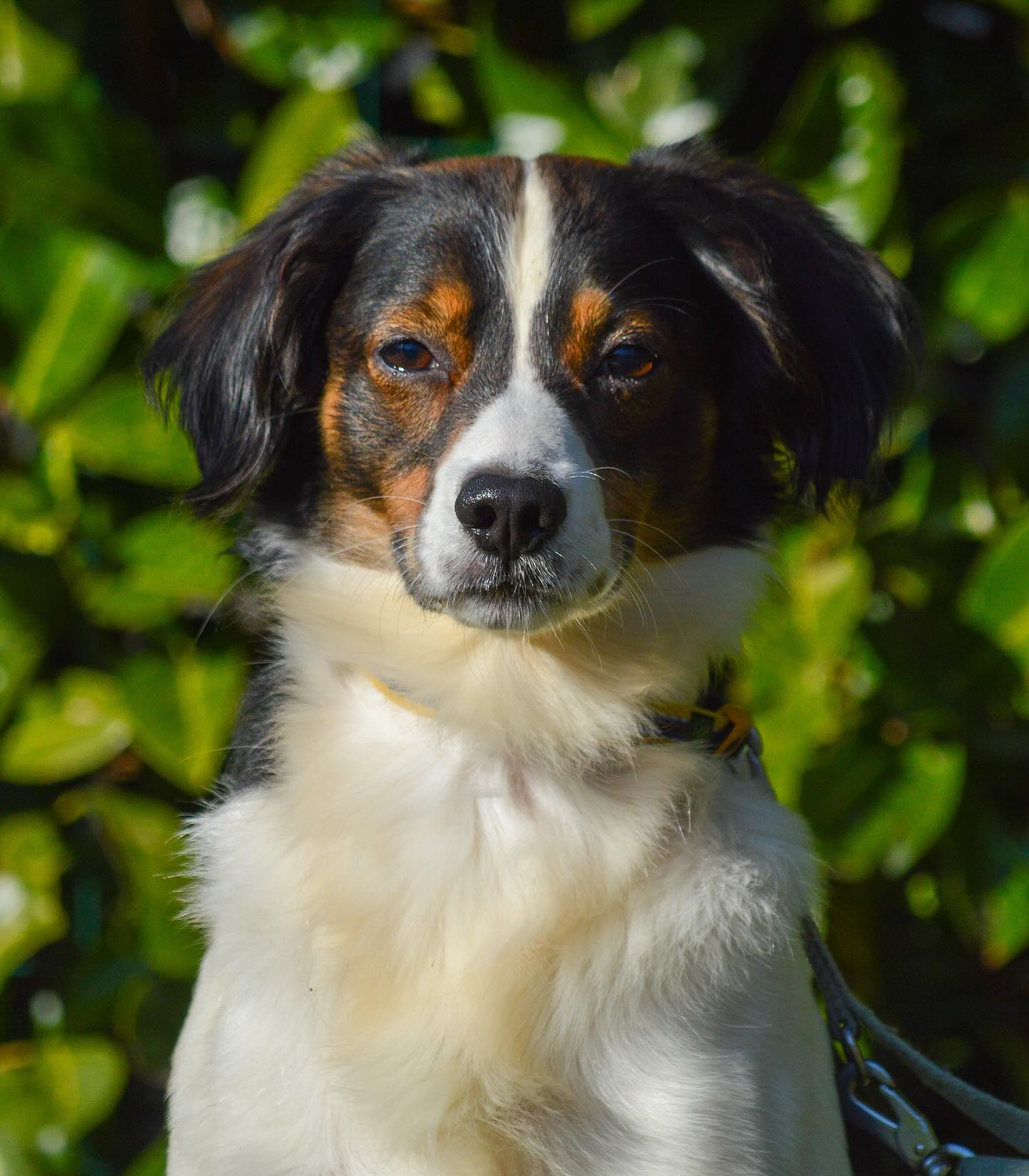 Instagram photo 469740538_18017918909642961_8858524739038319350_n.jpg