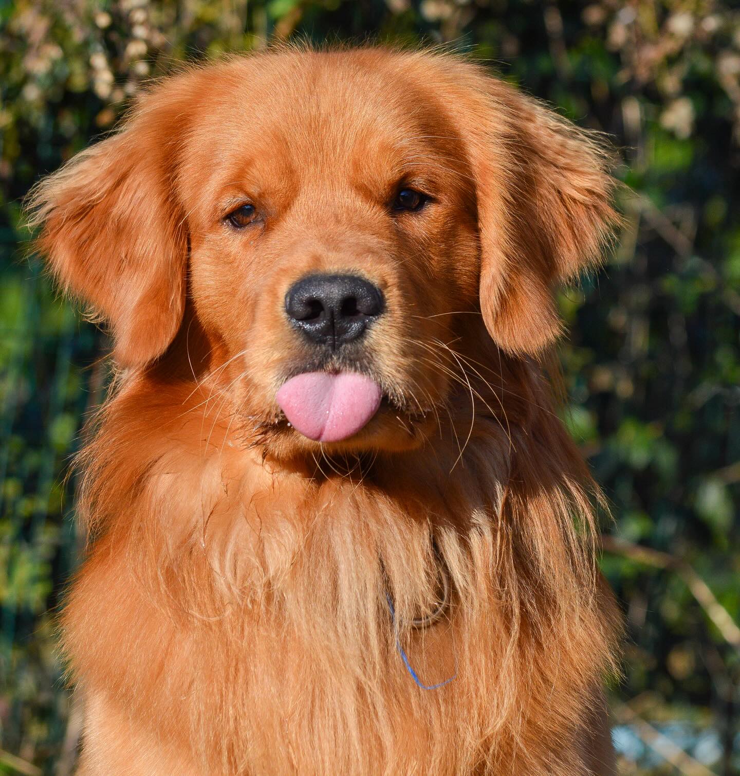 Instagram photo 470321494_18018323966642961_1362171871148603942_n.jpg