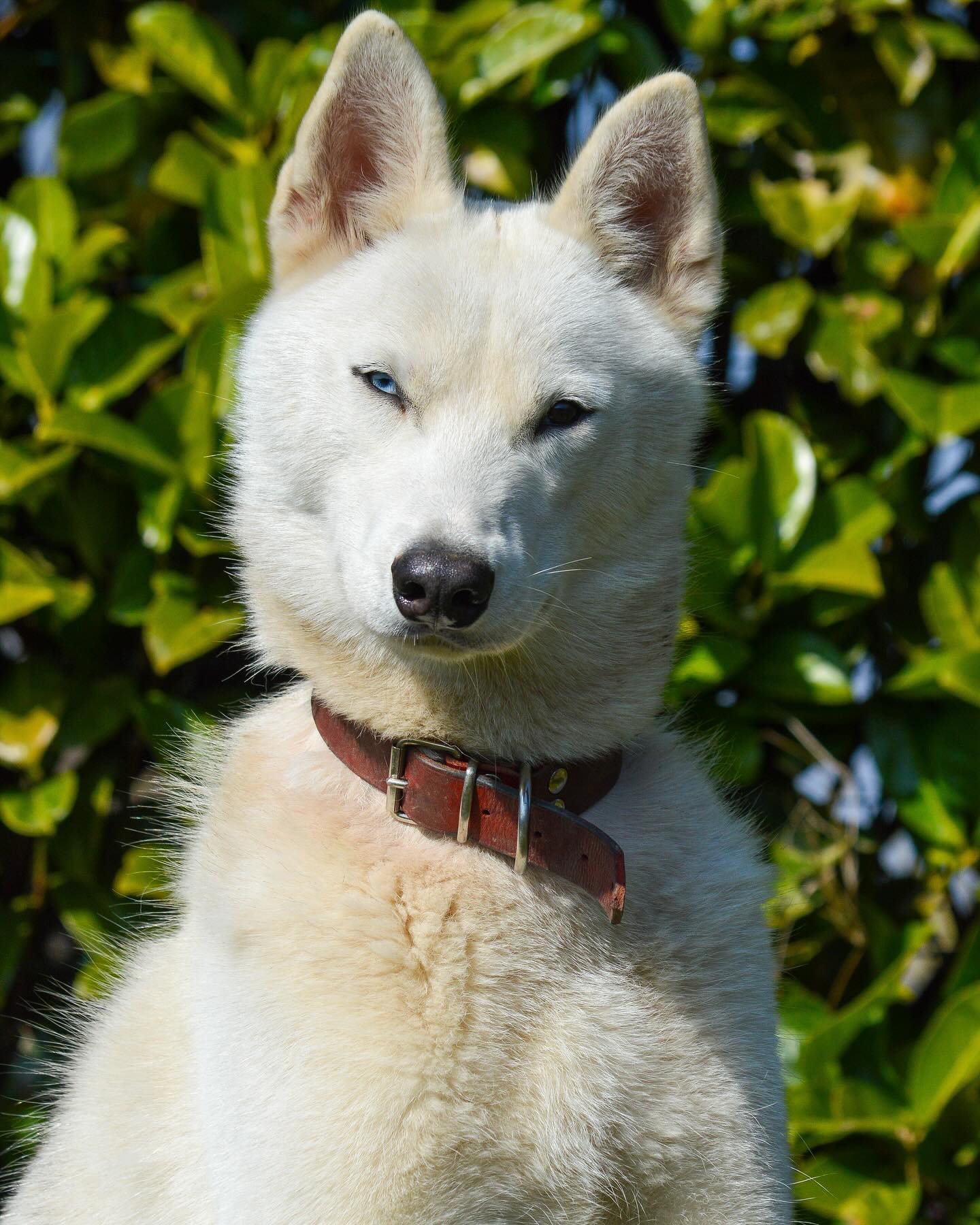 Instagram photo 483111818_18027947210642961_4240797639855406913_n.jpg