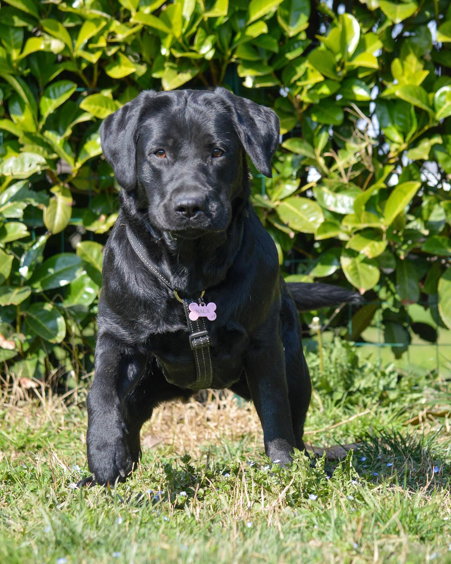 Instagram photo 483464241_18027880550642961_7529645258057175917_n.jpg