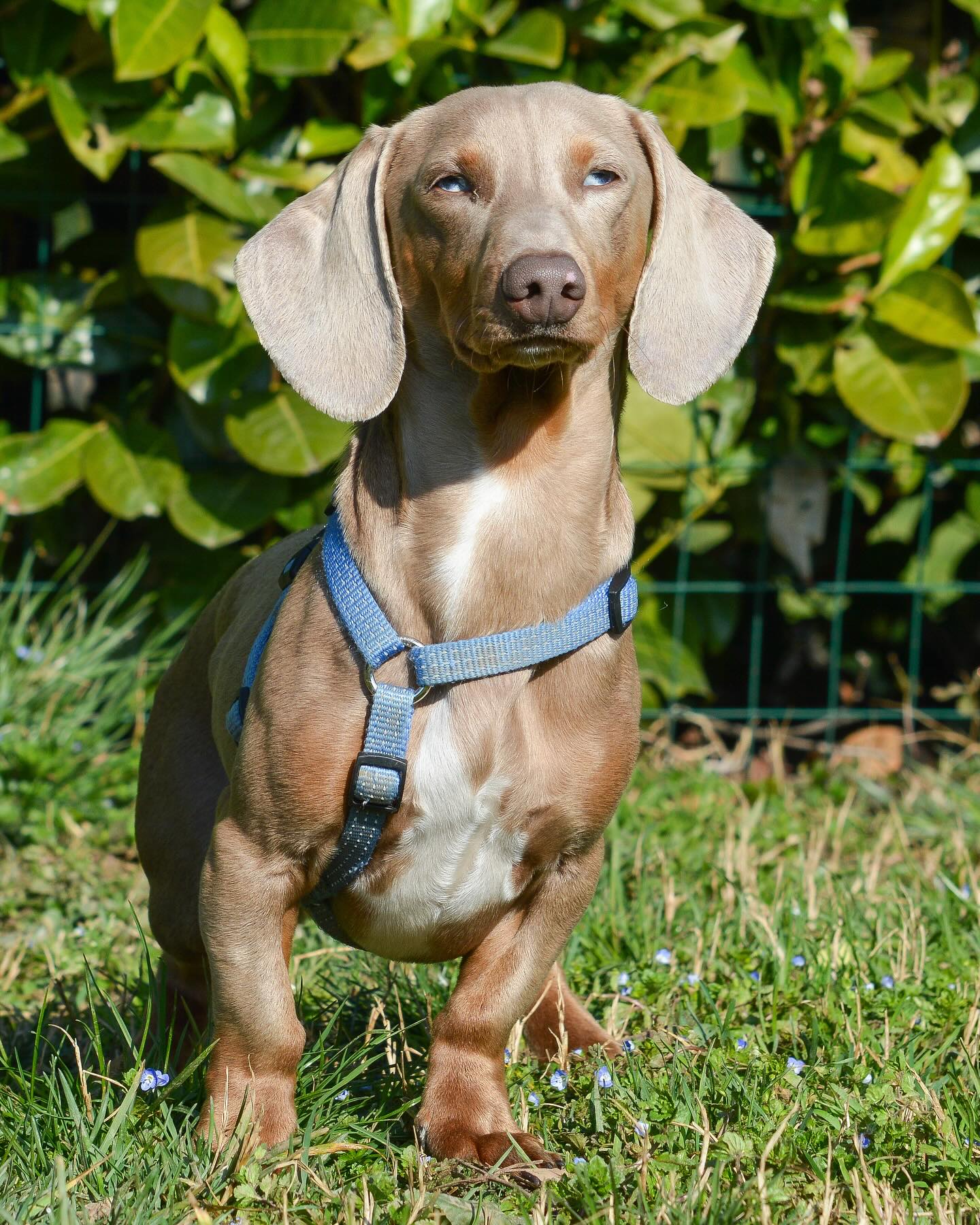 Instagram photo 484081862_18028473449642961_3715677612856440001_n.jpg