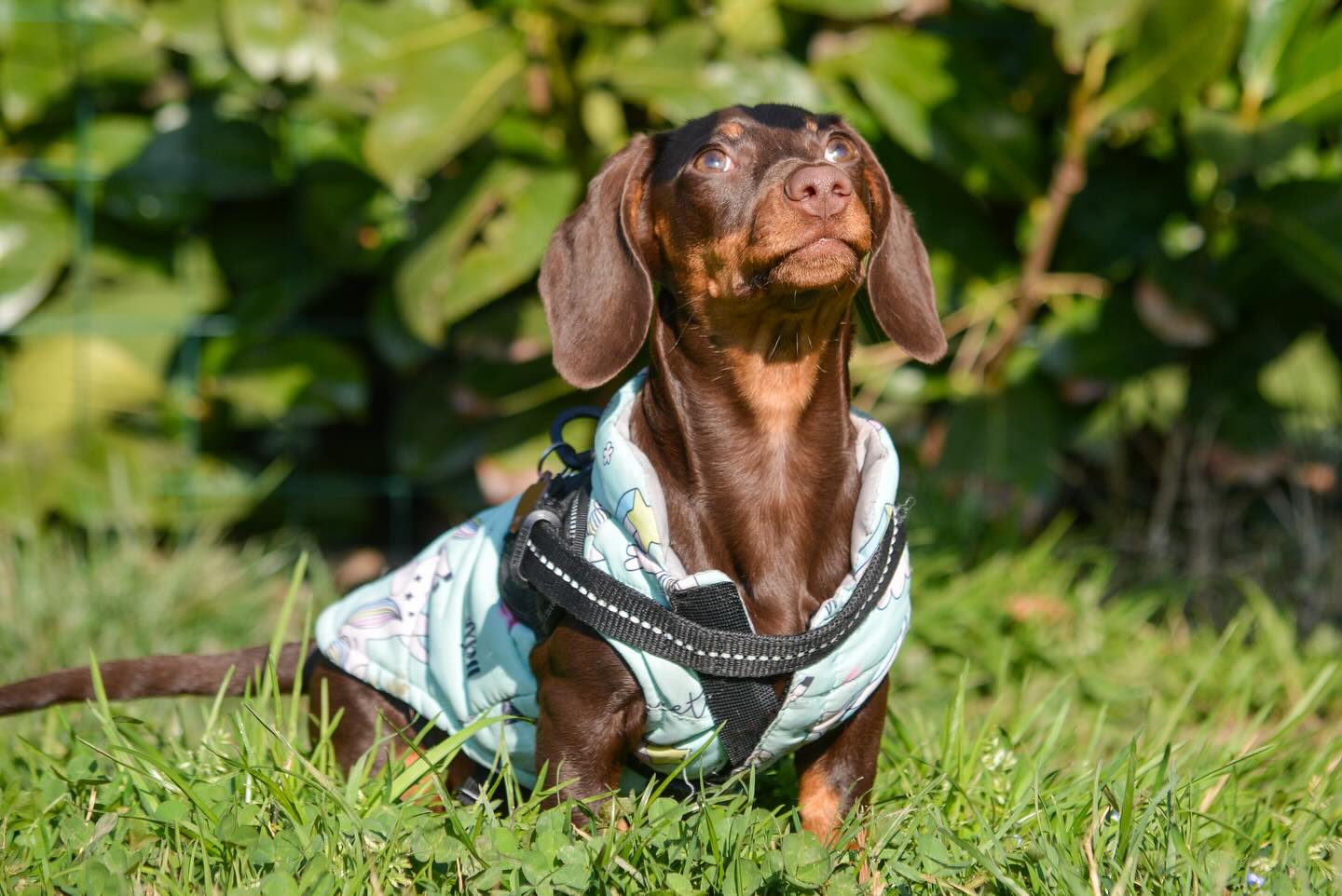 Instagram photo 484829780_18029167760642961_4526089659083986786_n.jpg