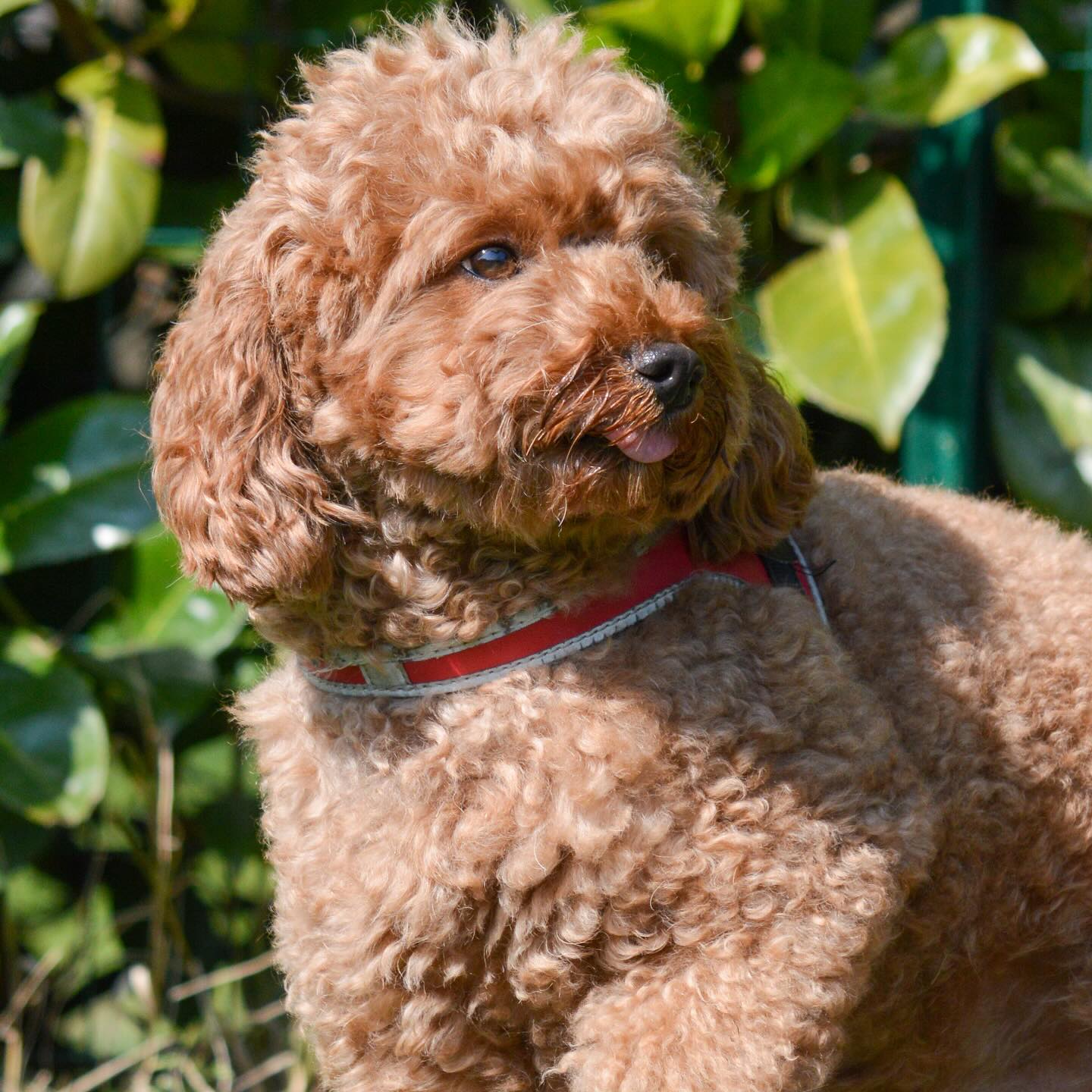 Instagram photo 485443133_18029383307642961_6291496793987152377_n.jpg