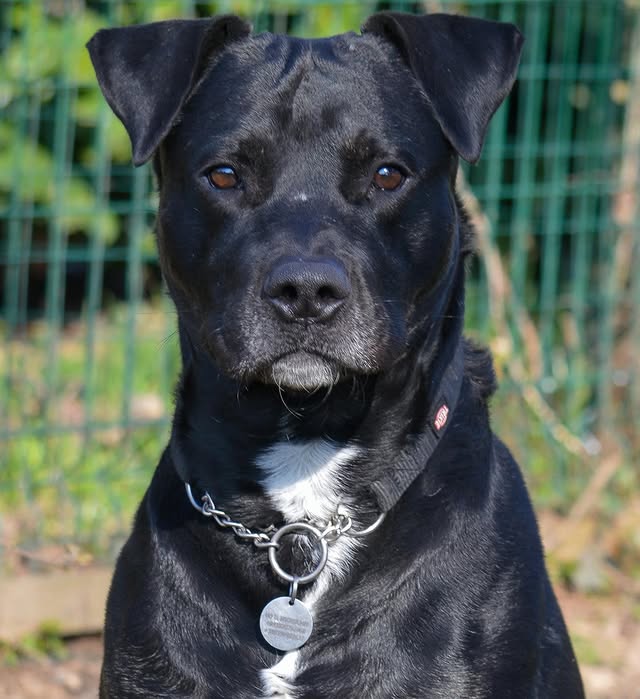 Instagram photo 485448257_18029298485642961_6371278724101917370_n.jpg