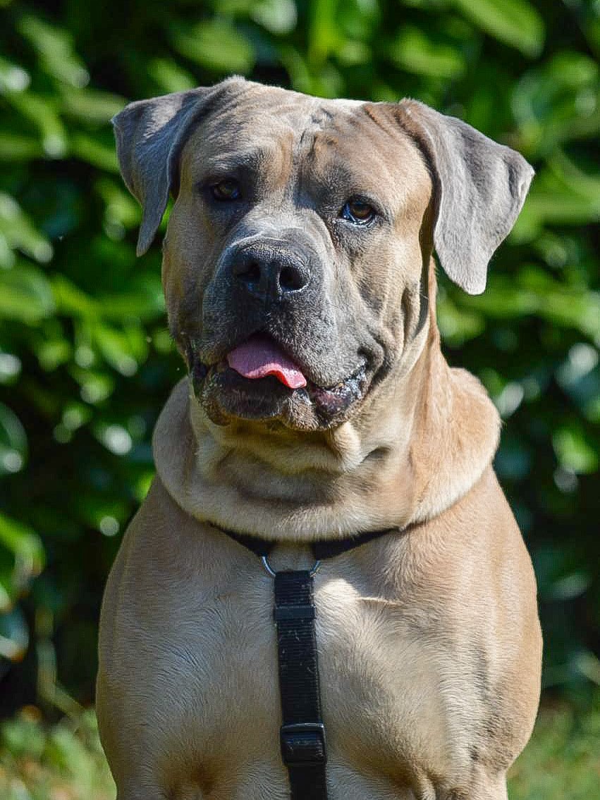 Instagram photo 505169712_18041842931642961_3026502665063922772_n.jpg